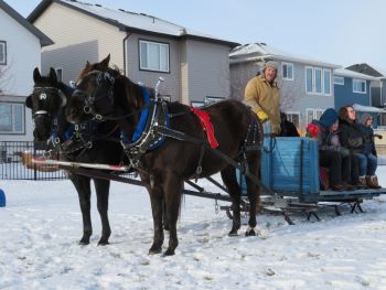 Sleigh rides in Sereda Park